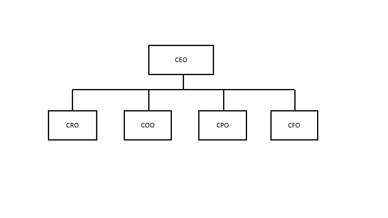 C Suite Org Chart